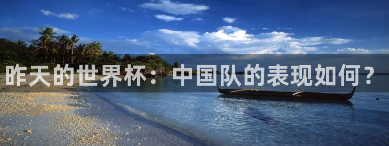 世界杯直播免费观看:昨天的世界杯:中国队的表现如何?