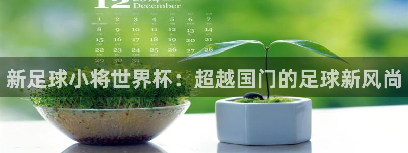 世界杯赛程表:新足球小将世界杯:超越国门的足球新风尚