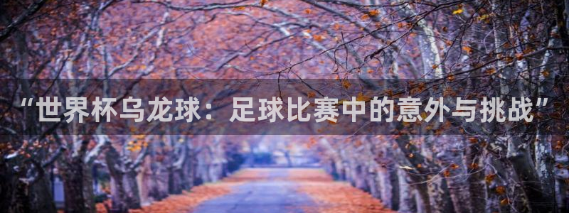 世界杯直播在线观看入口:“世界杯乌龙球:足球比赛中的意外与挑战”