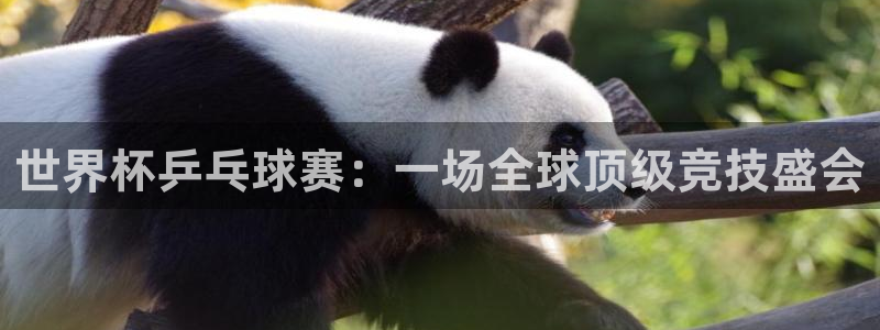 世界杯决赛直播:世界杯乒乓球赛:一场全球顶级竞技盛会