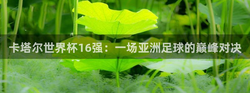 世界杯赛程表:卡塔尔世界杯16强:一场亚洲足球的巅峰对决