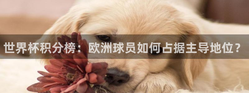 2026世界杯官网:世界杯积分榜:欧洲球员如何占据主导地位?
